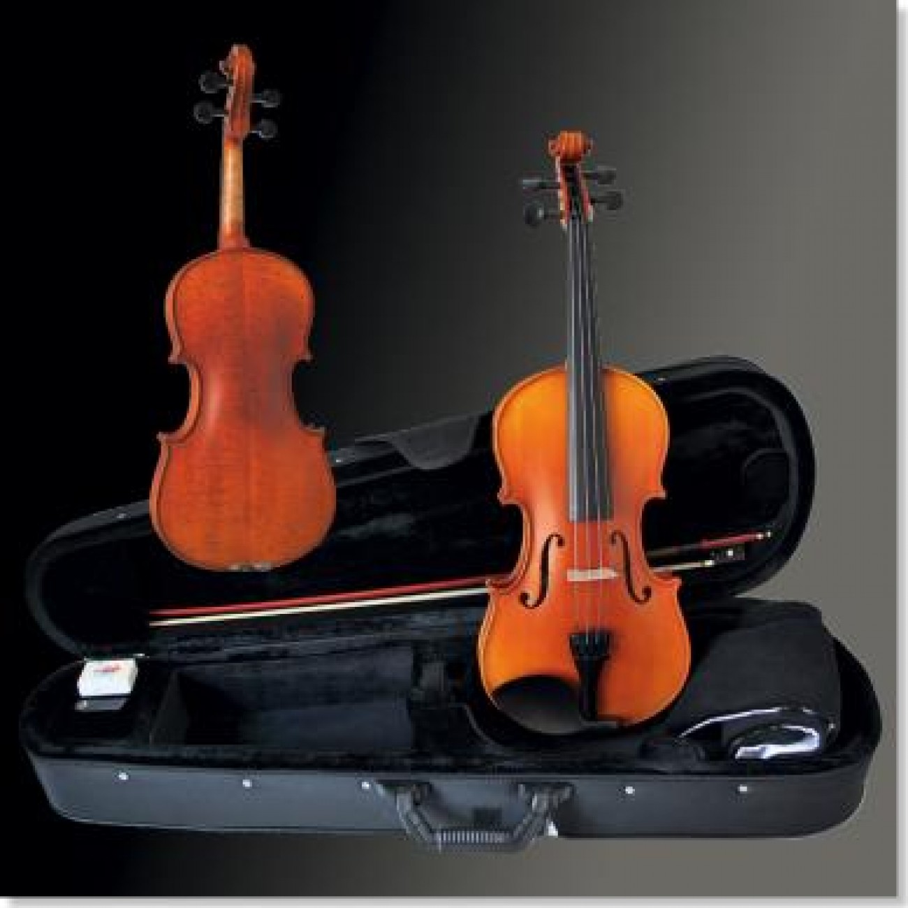 Franz Sandner 4/4 Violin-Set 90/302 Upgrate