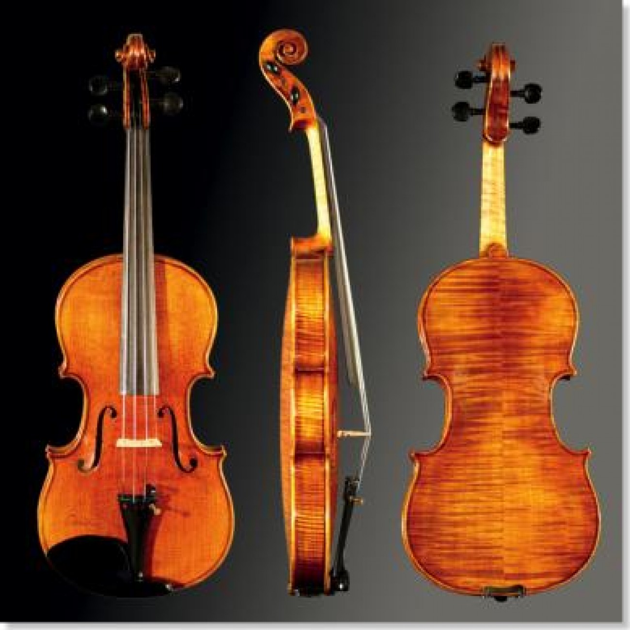 Sandner Dynasty 90/315 Violin-Garnitur 