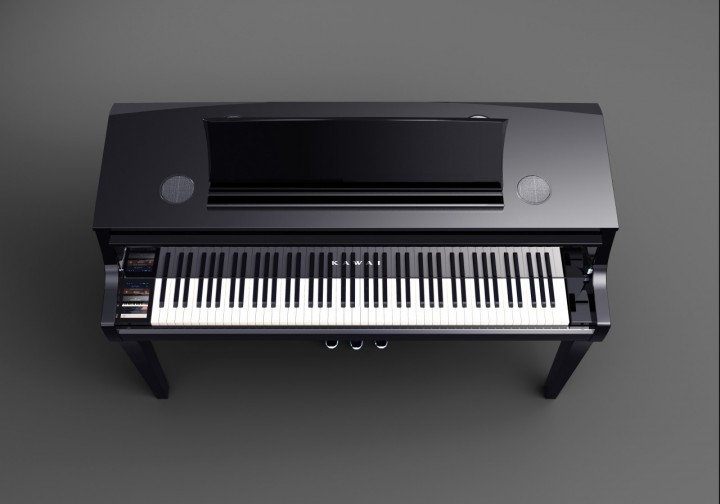 Kawai Novus NV10S PE