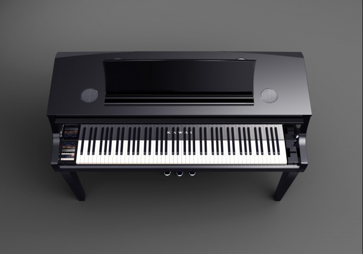 Kawai Novus NV10S PE