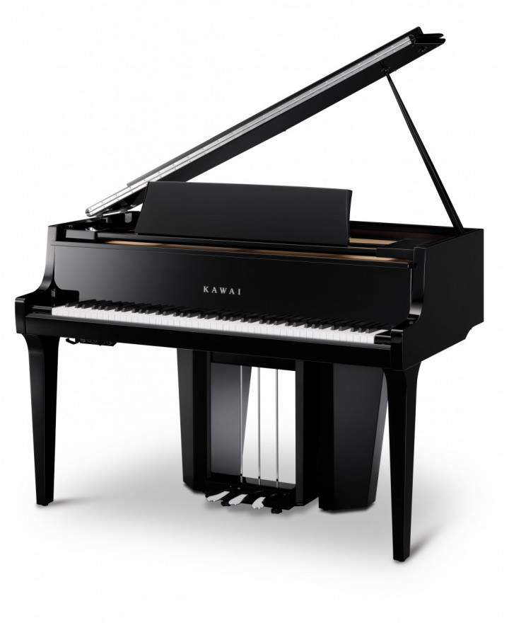 Kawai Novus NV12 PE