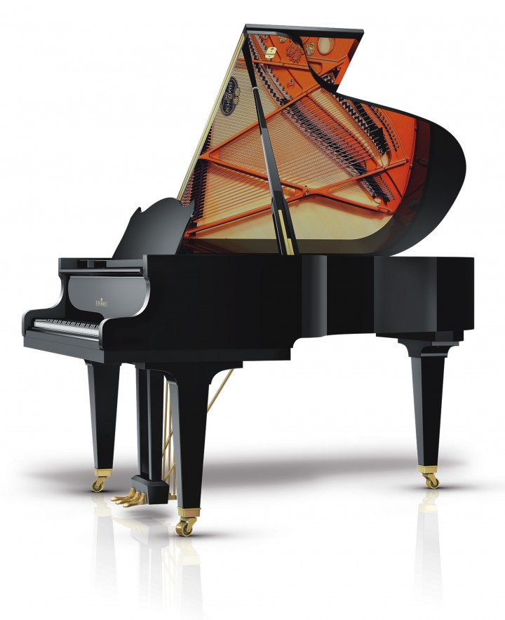 Schimmel I 168 T