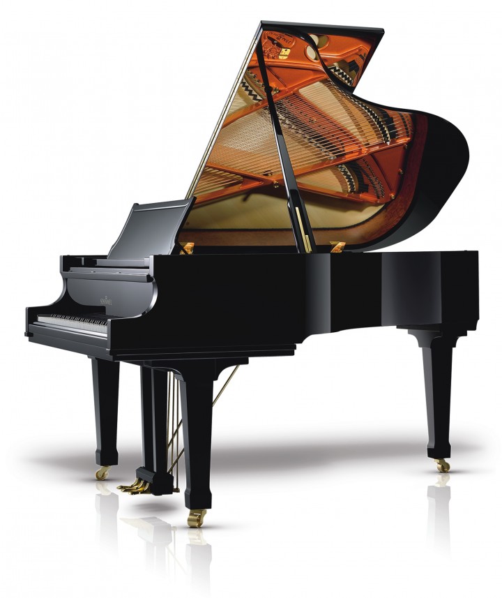 Schimmel C 189 T schwarz poliert