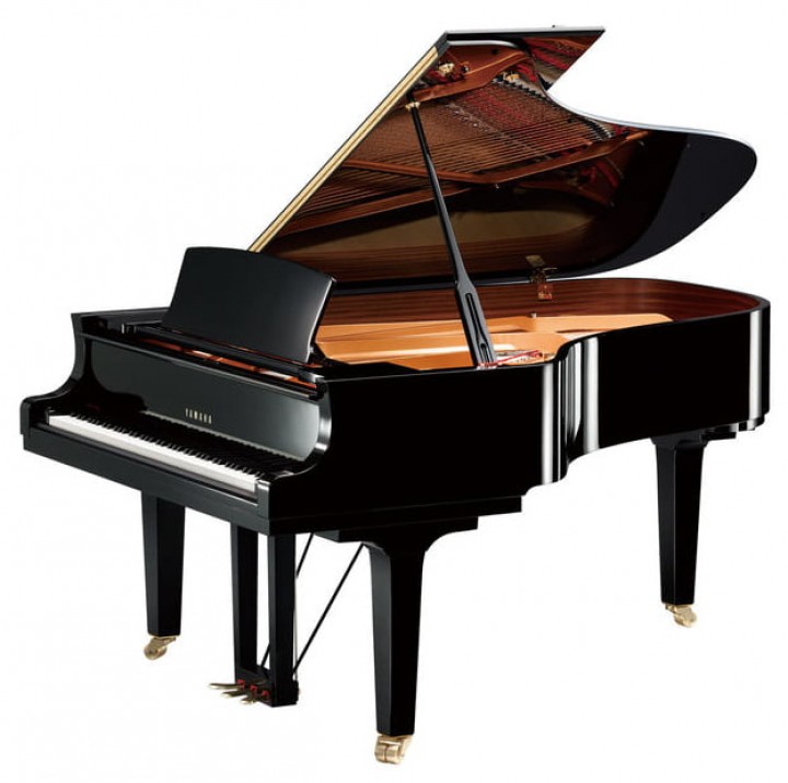 Yamaha C 6 X PE